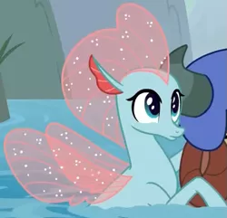 Size: 519x501 | Tagged: cropped, cute, derpibooru import, diaocelles, disguise, disguised changeling, non-compete clause, ocellus, safe, screencap, seaponified, seapony (g4), seapony ocellus, solo focus, species swap, yona