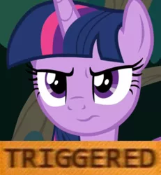 Size: 256x277 | Tagged: safe, derpibooru import, edit, edited screencap, screencap, twilight sparkle, twilight sparkle (alicorn), alicorn, pony, non-compete clause, cropped, meme, solo, triggered