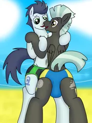 Size: 3024x4032 | Tagged: anthro, artist:tacomytaco, beach, belly button, bipedal, both cutie marks, clothes, derpibooru import, gay, hug, male, males only, pegasus, shipping, soarilane, soarin', speedo, suggestive, swimsuit, thunderlane