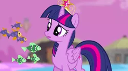 Size: 1440x809 | Tagged: safe, derpibooru import, screencap, twilight sparkle, twilight sparkle (alicorn), alicorn, fish, pony, princess twilight sparkle (episode), big crown thingy, blurred background, chaos, element of magic, female, floating, jewelry, mare, purple sky, regalia, school of fish, solo