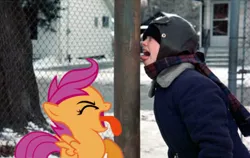 Size: 900x570 | Tagged: safe, derpibooru import, scootaloo, pony, a christmas story, flick, hearth's warming eve, irl, photo, pole, ponies in real life, stuck, tongue out, tongue stuck to pole, vector
