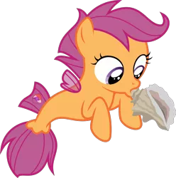 Size: 3000x3027 | Tagged: safe, artist:sollace, derpibooru import, scootaloo, pony, seapony (g4), surf and/or turf, .svg available, blowing, conch, cute, cutealoo, female, filly, seaponified, seapony scootaloo, seashell, shell, simple background, solo, species swap, transparent background, vector
