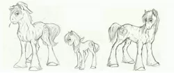 Size: 4712x1976 | Tagged: safe, artist:earthsong9405, deleted from derpibooru, derpibooru import, big macintosh, oc, oc:hard cider, earth pony, pony, applejack's dad, applejack's parents, bandana, colt, colt big macintosh, comparison, cowboy hat, draft horse, father and child, father and son, grayscale, hat, headcanon, male, monochrome, pencil drawing, realistic anatomy, realistic horse legs, stallion, stetson, straw in mouth, traditional art, unshorn fetlocks, younger