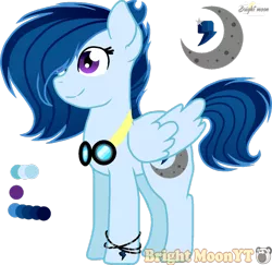 Size: 1024x994 | Tagged: safe, artist:sleppchocolatemlp, derpibooru import, oc, pegasus, pony, female, mare, offspring, parent:rainbow dash, parent:soarin', parents:soarindash, reference sheet, simple background, solo, transparent background