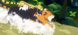 Size: 1366x611 | Tagged: ahuizotl's cats, animal, big cat, cat, chase, cheetah, derpibooru import, dust cloud, kitten, open mouth, panther, read it and weep, running, safe, screencap, tiger