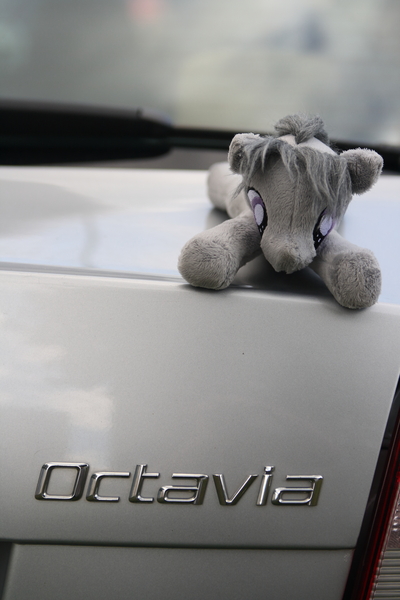 Size: 2592x3888 | Tagged: safe, artist:wolflessnight, derpibooru import, photographer:pulse wave, octavia melody, earth pony, pony, background pony, beanie (plushie), car, czech republic, czequestria, czequestria 2017, female, irl, mare, namesake, photo, plushie, prague, pun, skoda, skoda octavia