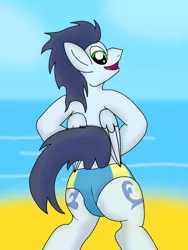 Size: 3024x4032 | Tagged: suggestive, alternate version, artist:tacomytaco, derpibooru import, soarin', pegasus, pony, beach, bipedal, both cutie marks, butt, clothes, male, partial nudity, plot, solo, speedo, swimsuit, topless