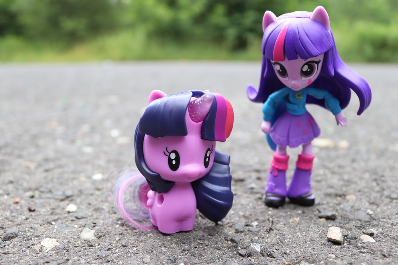 Size: 6000x4000 | Tagged: safe, artist:artofmagicpoland, derpibooru import, twilight sparkle, twilight sparkle (alicorn), alicorn, equestria girls, cutie mark crew, toy