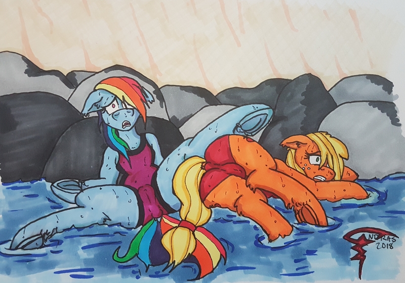 Size: 3735x2616 | Tagged: grimdark, questionable, artist:andras, derpibooru import, applejack, rainbow dash, earth pony, pegasus, pony, bad end, cameltoe, clothes, corpse, dead, dock, drowned, frog (hoof), image, implied drowning, jpeg, one-piece swimsuit, snuff, swimsuit, underhoof, water, wet, wet mane