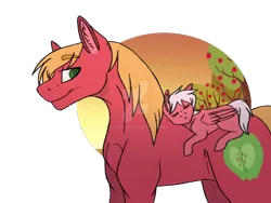 Size: 1600x1200 | Tagged: safe, artist:detoxx-retoxx, derpibooru import, big macintosh, oc, oc:flitterbug, earth pony, pegasus, pony, apple, apple tree, blank flank, father and child, father and daughter, father's day, female, filly, male, missing accessory, offspring, parent:big macintosh, parent:fluttershy, parents:fluttermac, ponies riding ponies, riding, simple background, sleeping, stallion, transparent background, tree, watermark