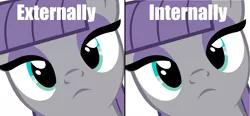 Size: 2208x1024 | Tagged: artist:éclair, caption, derpibooru import, edit, image macro, looking at you, maud pie, meme, not smiling on the inside, safe, solo, text, vulgar description, x internally