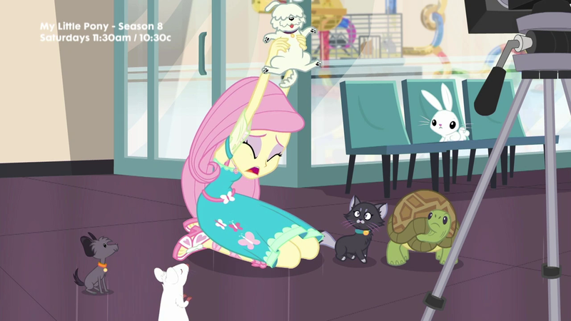 Size: 1280x720 | Tagged: safe, derpibooru import, screencap, angel bunny, fluttershy, cat, dog, turtle, equestria girls, equestria girls series, outtakes (episode), feet, pup-pup, sandals