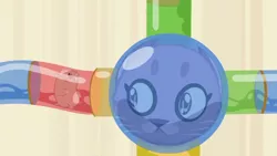Size: 1280x720 | Tagged: safe, derpibooru import, screencap, cat, hamster, equestria girls, equestria girls series, outtakes (episode), animal, animal shelter, duo