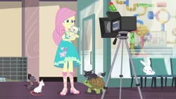 Size: 1280x720 | Tagged: safe, derpibooru import, screencap, angel bunny, fluttershy, cat, dog, turtle, equestria girls, equestria girls series, outtakes (episode), pup-pup, sandals