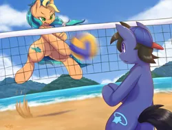 Size: 1050x800 | Tagged: safe, artist:tikrs007, derpibooru import, oc, oc:break spin, oc:playa "spikeball" azul, unofficial characters only, earth pony, pony, beach, bipedal, cloud, commission, female, male, mare, ocean, sky, sports, stallion, this will end in pain, volleyball, volleyball net, worried