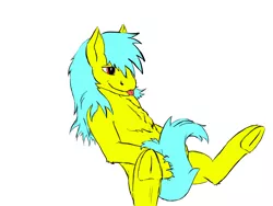 Size: 1600x1200 | Tagged: safe, artist:chickengoddess, derpibooru import, oc, oc:golden rule, unofficial characters only, earth pony, pony, blue mane, chest fluff, covering, cute, fluffy, frog (hoof), on back, red eyes, tail covering, tongue out, underhoof