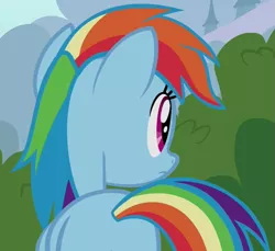 Size: 523x480 | Tagged: safe, derpibooru import, screencap, rainbow dash, pegasus, pony, it ain't easy being breezies, bush, butt, cropped, female, folded wings, mare, plot, solo, wings