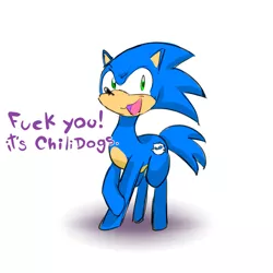 Size: 2000x2000 | Tagged: safe, artist:skeletonburglar, derpibooru import, ponified, pony, fuck you, reference, sonic the hedgehog, sonic the hedgehog (series), vulgar