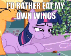 Size: 344x270 | Tagged: alicorn, animated, animation error, applejack, caption, chewing, cropped, derpibooru import, duo, eating, edit, edited screencap, food, image macro, maud pie (episode), meme, missing wing, puffy cheeks, rock candy, safe, screencap, somehow a unicorn again, text, twilight sparkle, twilight sparkle (alicorn), wingless