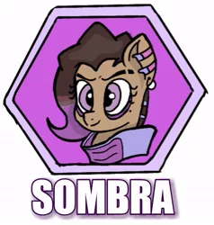 Size: 509x534 | Tagged: safe, artist:fork, derpibooru import, ponified, pony, overwatch, solo, sombra (overwatch)