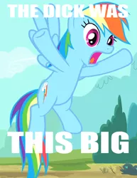 Size: 575x743 | Tagged: suggestive, derpibooru import, edit, edited screencap, screencap, rainbow dash, pegasus, pony, three's a crowd, caption, cropped, female, flying, implied penis, mare, meme, open mouth, solo, solo female, spread wings, text, tongue out, wide eyes, wings