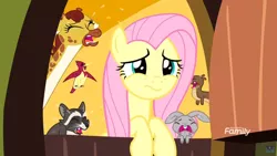 Size: 1920x1080 | Tagged: safe, derpibooru import, screencap, clementine, fluttershy, bird, giraffe, otter, pony, rabbit, raccoon, yakity-sax, animal, crying, female, fluttershy's cottage, mare, regular show, rigby, woken up at a bad time