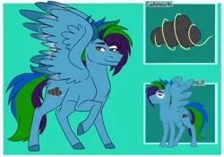 Size: 1024x715 | Tagged: safe, artist:colourstrike, derpibooru import, oc, oc:hurricane, pegasus, pony, green background, male, offspring, parent:rainbow dash, parent:soarin', parents:soarindash, raised hoof, reference sheet, simple background, solo, spread wings, stallion, wings