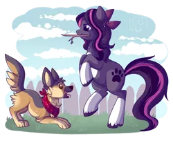 Size: 1000x826 | Tagged: safe, artist:lulubell, derpibooru import, oc, oc:serene, unofficial characters only, dog, earth pony, german shepherd, pony, female, fetch, mare, mouth hold, rearing, simple background, socks (coat marking), solo, transparent background
