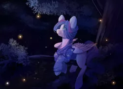 Size: 2200x1600 | Tagged: safe, artist:skylacuna, derpibooru import, oc, oc:star carmon, unofficial characters only, firefly (insect), insect, pegasus, pony, clothes, commission, crossed hooves, hoodie, lights, looking up, male, night, smiling, solo, stallion, stars, tree, tree branch