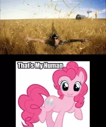 Size: 500x599 | Tagged: derpibooru import, meme, michael phelps, pinkie pie, safe, that's my x, too many pinkie pies