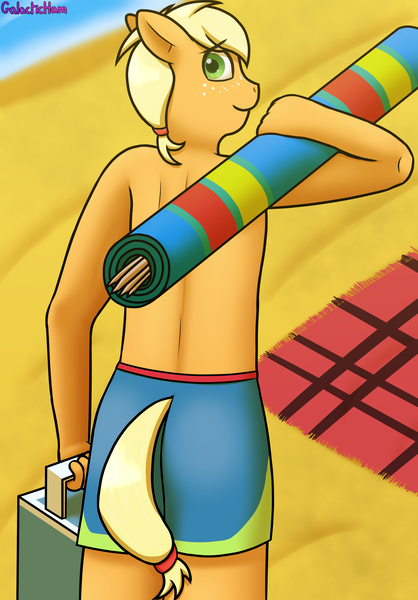 Size: 2440x3500 | Tagged: anthro, applejack, applejack (male), artist:galacticham, beach, derpibooru import, explicit source, freckles, ponytail, rule 63, safe, swimming trunks, windbreaker