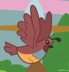 Size: 362x379 | Tagged: animal, bird, cropped, derpibooru import, flying, no pony, owl's well that ends well, quail, safe, screencap, solo, spread wings, wings