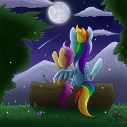 Size: 3000x3000 | Tagged: artist:steffy-beff, derpibooru import, firefly (insect), insect, log, mare in the moon, moon, princess luna, rainbow dash, safe, scootaloo, scootalove, shooting star, sitting