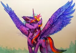Size: 2876x2016 | Tagged: alicorn, artist:angusdra, big crown thingy, crown, derpibooru import, element of magic, female, jewelry, regalia, safe, solo, spread wings, twilight sparkle, twilight sparkle (alicorn), wings