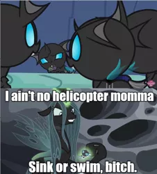 Size: 640x708 | Tagged: caption, cell (dbz), changeling, changeling queen, derpibooru import, dragonball z abridged, edit, edited screencap, female, image macro, meme, perfect cell, queen chrysalis, safe, screencap, text, the times they are a changeling, thorax, to change a changeling, tough love, vulgar