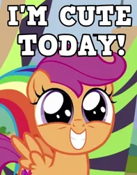Size: 530x674 | Tagged: safe, derpibooru import, edit, screencap, rainbow dash, scootaloo, pegasus, pony, the washouts (episode), spoiler:s08, captain obvious, caption, cute, cutealoo, female, filly, image macro, meme, redundant, smiling, solo focus, spread wings, text, wings