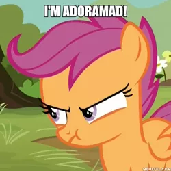 Size: 600x600 | Tagged: angry, caption, cute, cutealoo, derpibooru import, edit, edited screencap, image macro, madorable, pouting, safe, scootaloo, screencap, solo, text, the washouts (episode)