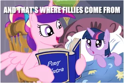 Size: 1024x683 | Tagged: suggestive, deleted from derpibooru, derpibooru import, edit, princess cadance, twilight sparkle, alicorn, pony, unicorn, bedtime story, book, cadance's bedtime stories, caption, duo, exploitable meme, female, filly, filly twilight sparkle, image macro, looking up, meme, pony sutra, reading, sex education, teen princess cadance, text, the birds and the bees, the talk, unicorn twilight, younger