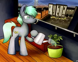 Size: 1280x1024 | Tagged: safe, artist:sugar morning, derpibooru import, oc, oc:dee, unofficial characters only, earth pony, pony, apartment, bridge, commission, drugs, evening, loss (meme), male, marijuana, plant, scenery, smoking, solo, stallion, standing, watering