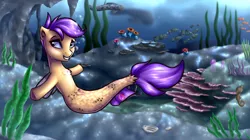 Size: 2500x1400 | Tagged: artist:shido-tara, commission, derpibooru import, safe, scootaloo, seaponified, seapony (g4), seapony scootaloo, smiling, solo, species swap, surf and/or turf, underwater