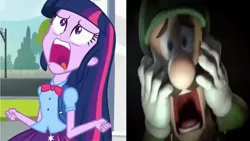 Size: 1920x1080 | Tagged: safe, derpibooru import, edit, screencap, twilight sparkle, equestria girls, equestria girls (movie), comparison, cropped, exploitable meme, luigi, luigi's mansion, meme, screaming, super mario bros., super smash bros., super smash bros. ultimate, twiscream