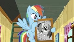 Size: 1334x750 | Tagged: safe, derpibooru import, screencap, rainbow dash, pegasus, pony, the washouts (episode), black and white, bust, clubhouse, crusaders clubhouse, curtains, discovery family logo, flying, grayscale, leader, monochrome, picture frame, portrait