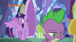 Size: 1034x576 | Tagged: alicorn, derpibooru import, father knows beast, father knows best, nickelodeon, safe, screencap, spike, twilight's castle, twilight sparkle, twilight sparkle (alicorn)