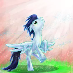 Size: 600x600 | Tagged: artist:xx-mr-no-name-xx, derpibooru import, safe, soarin'