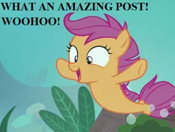 Size: 512x384 | Tagged: cropped, cute, cutealoo, derpibooru import, edit, edited screencap, happy, reaction image, safe, scootaloo, screencap, seaponified, seapony (g4), seapony scootaloo, seaquestria, seaweed, species swap, surf and/or turf, text