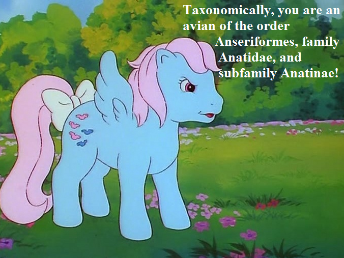 Size: 676x507 | Tagged: bow, cropped, derpibooru import, dialogue, edit, edited screencap, g1, mish mash melee, my little pony 'n friends, reaction image, safe, screencap, sesquipedalian loquaciousness, solo, tail bow, wind whistler