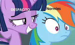 Size: 886x535 | Tagged: alicorn, caption, dead meme, derpibooru import, despacito, exploitable meme, image macro, meme, rainbow dash, safe, text, twilight sparkle, twilight sparkle (alicorn)