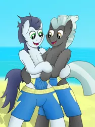 Size: 3024x4032 | Tagged: suggestive, artist:tacomytaco, derpibooru import, soarin', thunderlane, pegasus, pony, beach, belly button, bipedal, chest fluff, clothes, frontal wedgie, gay, hug, male, males only, partial nudity, roflanebalo, shipping, shorts, soarilane, speedo, swimsuit, topless, wedgie