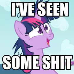 Size: 600x601 | Tagged: caption, derpibooru import, image macro, i've seen some shit, reaction image, safe, text, twilight snapple, twilight sparkle, vulgar