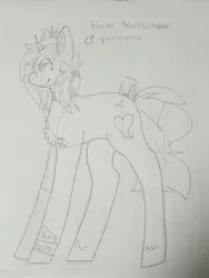 Size: 3024x4032 | Tagged: safe, artist:shoto, derpibooru import, oc, oc:horror heartbreaker, unofficial characters only, pony, 3oh!3, blood on the dance floor, bow, choker, coontails, crown, femboy, fishnets, jewelry, male, mindless self indulgence, monochrome, necklace, ponysona, regalia, scene kid, solo, stallion, tail bow, traditional art, trans boy, transgender
